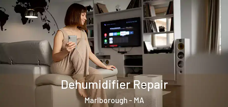  Dehumidifier Repair Marlborough - MA