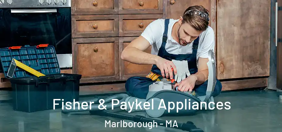  Fisher & Paykel Appliances Marlborough - MA