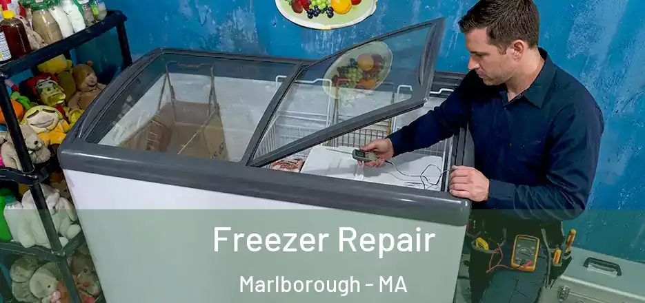  Freezer Repair Marlborough - MA
