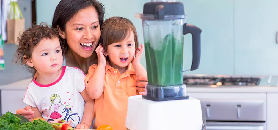 Juicer and Mixer Blender Repair in Marlborough