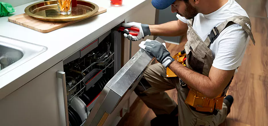 Same Day Dishwasher Not Draining Repair in Marlborough