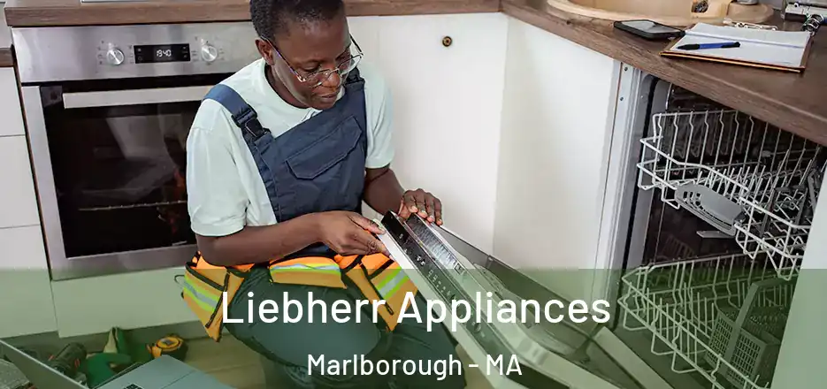 Liebherr Appliances Marlborough - MA
