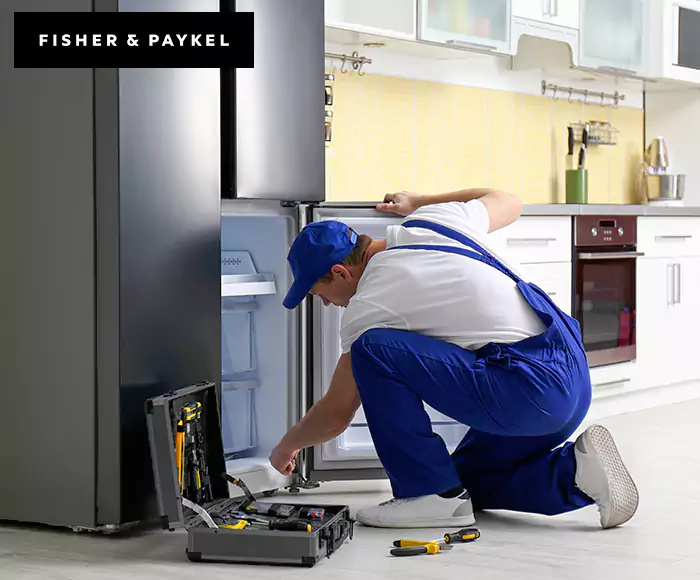 Top-Rated Fisher & Paykel Appliance Experts: Your Brand Specialist in Marlborough, MA