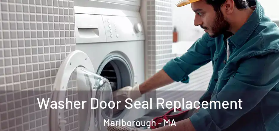  Washer Door Seal Replacement Marlborough - MA